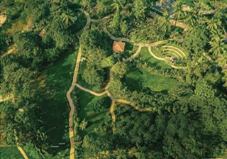 Aerial view of lush tropical gardens with winding pathways, dense greenery, and a peaceful landscaped outdoor setting.