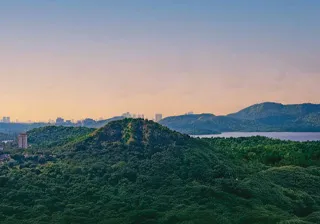 Scenic panoramic view of green hills and dense forest overlooking a tranquil body of water beneath a colorful sunset sky.